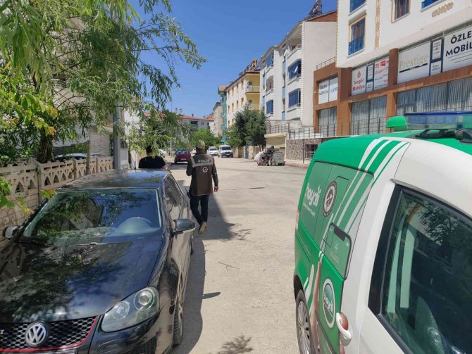 Aracıyla Ezdiği Kediyi Ölüme Terk Eden Şahsa Ceza