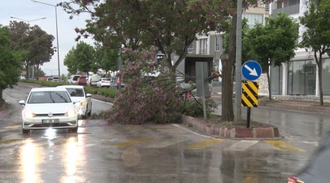 Elazığ’da Fırtına Sonrası Çatılar Uçtu, Ağaçlar Devrildi