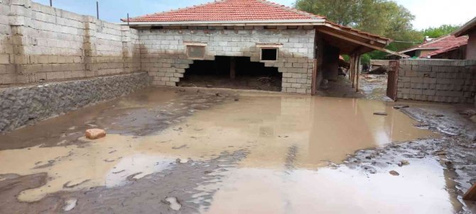 Yağış Nedeniyle Mandıralar Çöktü, Hayvanlar Telef Oldu