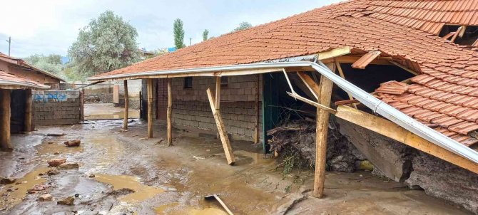 Yağış Nedeniyle Mandıralar Çöktü, Hayvanlar Telef Oldu