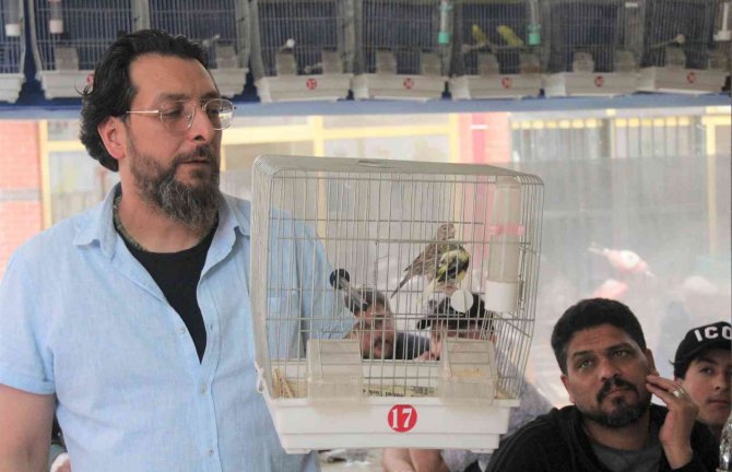 Kütahya’da Kuş Meraklıları Mezatta Buluştu