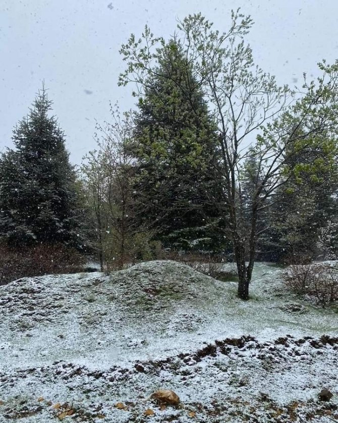 Ordu’da Mayıs Ortasında Yağan Kar Şaşırttı