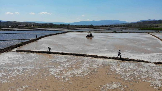 ’Beyaz Altın’ın Sofralara Uzanan Yolculuğu Başladı