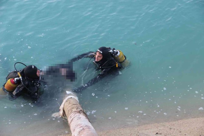 Tiktok İçin Atladığı Sulama Kanalında Boğuldu