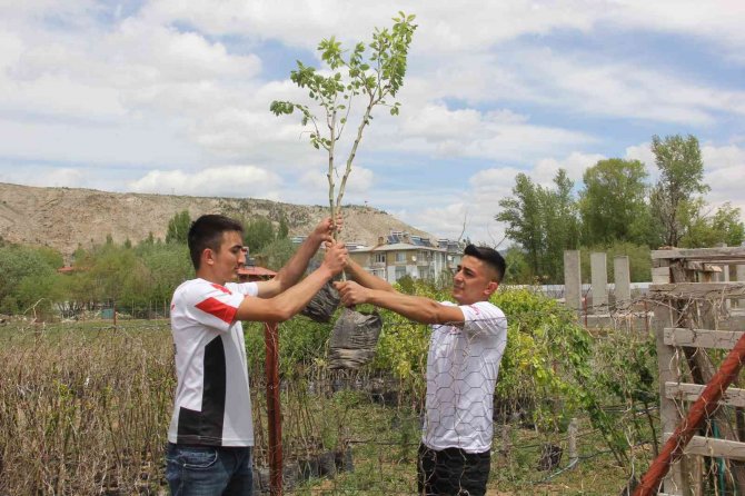 Ölen Babası İçin İlginç Bir Hayır Yaptı