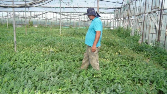 Hırsızlığa Karşı Tabanca Resimli, "Biz 112’yi Aramayız" Önlemi
