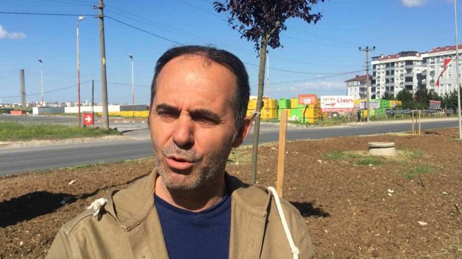 Dekora Uymadığı İçin Ağaçları Söken Chp’li Belediye Daha Önce De Binlerce Ağacı Sökmüş