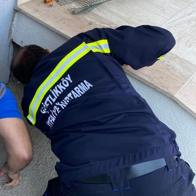 Çiftlikköy’de İtfaiyeden Hayvan Kurtarma Operasyonları