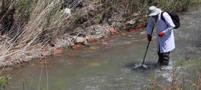 Elazığ’da Biyoçeşitlilik İzleme Çalışmaları Sürüyor