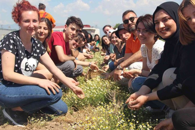 Burhaniye’de Gastrobaçem Projesi Hayata Geçirildi