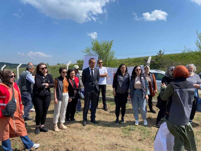 Karabük’e İki Çeşit Aromatik Bitki Daha Kazandırıldı