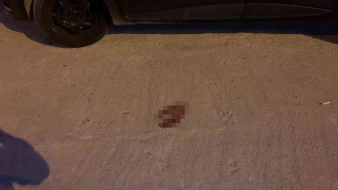 Polisle Çatışmaya Giren Cinayet Şüphelisi Etkisiz Hale Getirildi