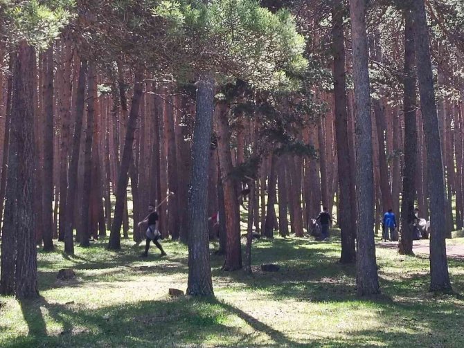 Gençler Orman Temizledi