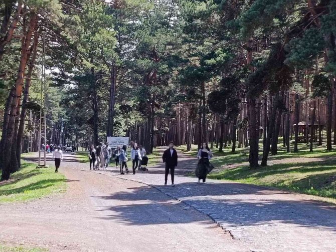 Gençler Orman Temizledi