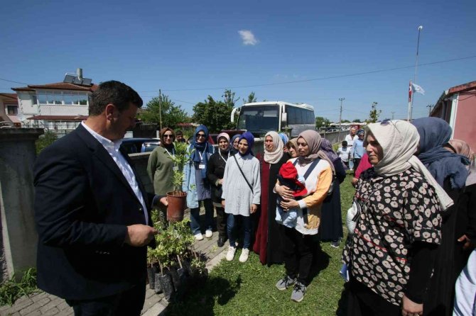 Başkan Bilal Soykan: “Kara Mürver’in Merkezi Akyazı Olacak”
