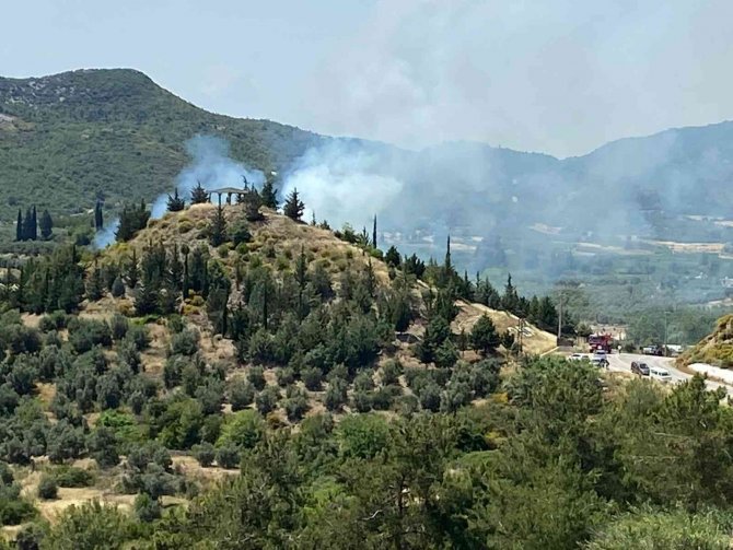 Antalya’da Orman Yangını Büyümeden Söndürüldü