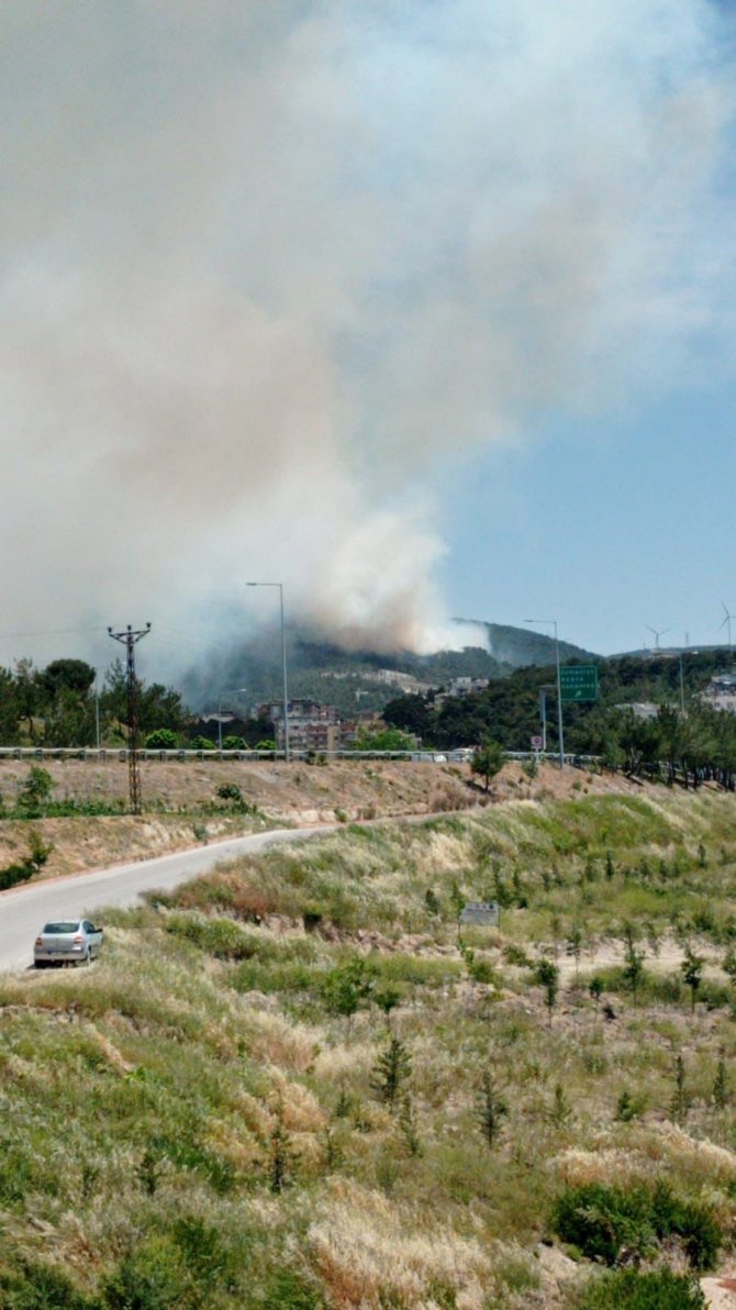 Hatay’da Orman Yangını