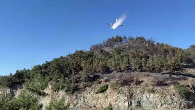 Hatay’daki Orman Yangını Kontrol Altına Alındı, Soğutma Çalışmaları Sürüyor