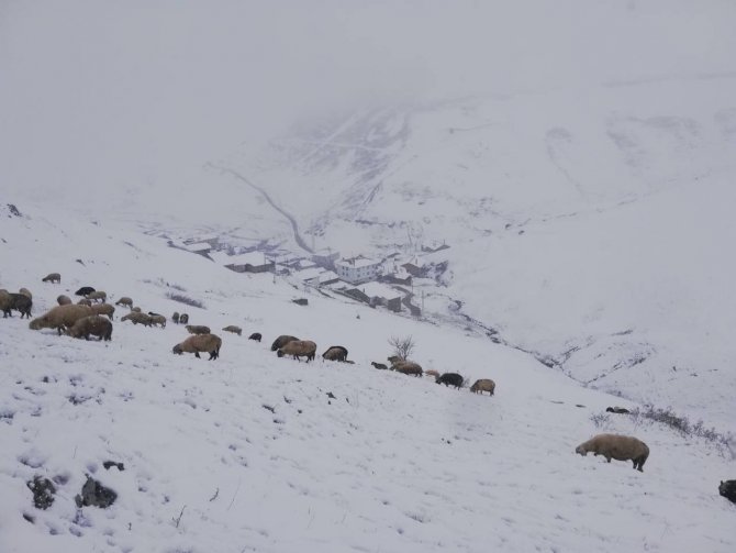 Mayısta Kar Yağdı