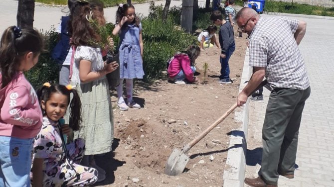 Hisarcık Atatürk İ̇lkokulu’nda Fidan Dikim Etkinliği