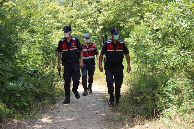 Kocaeli’de Ormanda Konaklamak Ve Mangal Yapmak Yasaklanıyor