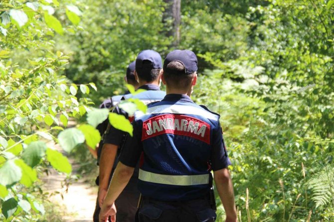 Kocaeli’de Ormanda Konaklamak Ve Mangal Yapmak Yasaklanıyor