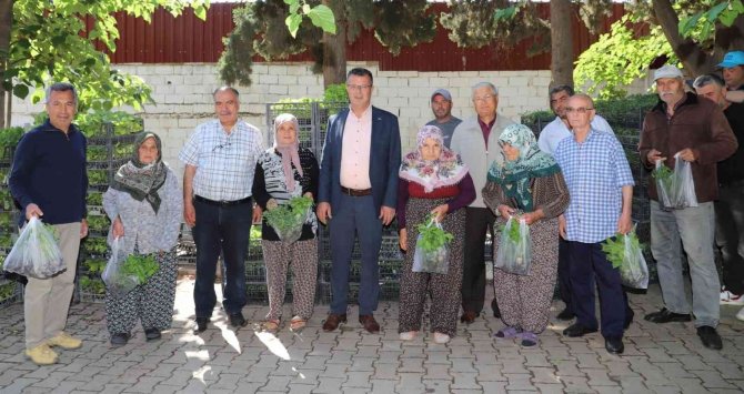 Alaşehir Belediyesi 210 Bin Fide Dağıttı