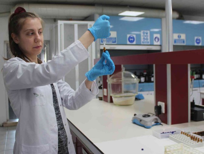 Önce Analiz Sonra İhracat