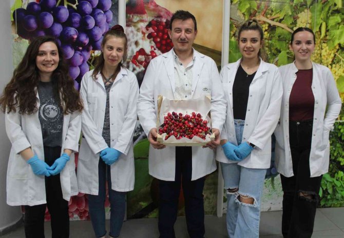 Önce Analiz Sonra İhracat