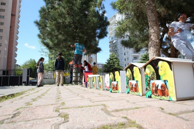 Öğrenciler Ve Melikgazi Belediyesi, Kuşları Yuva Sahibi Yaptı