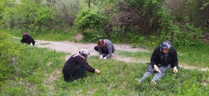 Sezon Başladı, Ailecek Tek Tek Elleriyle Topluyorlar