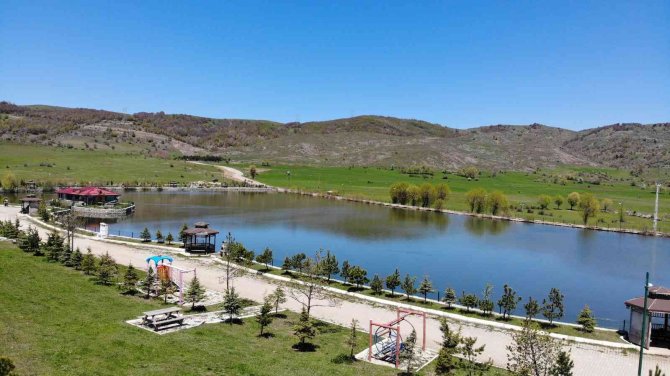 Yeşilliğin Ortasındaki Gölet, Manzarası İle Hayran Bırakıyor