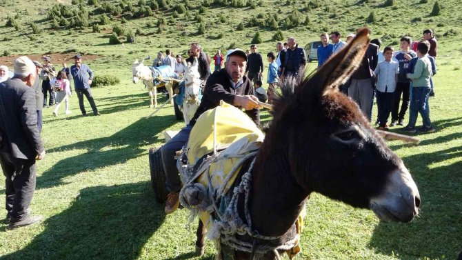 Van’da ‘Eşek Arabası’ Yarışması