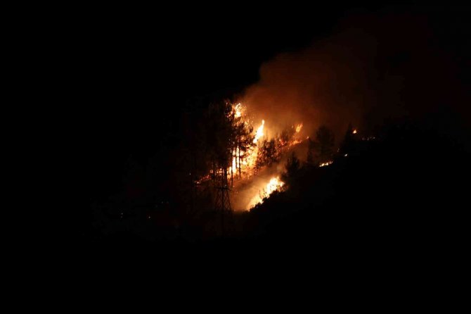 Alanya’da Orman Yangınında 3 Dekar Alan Zarar Gördü