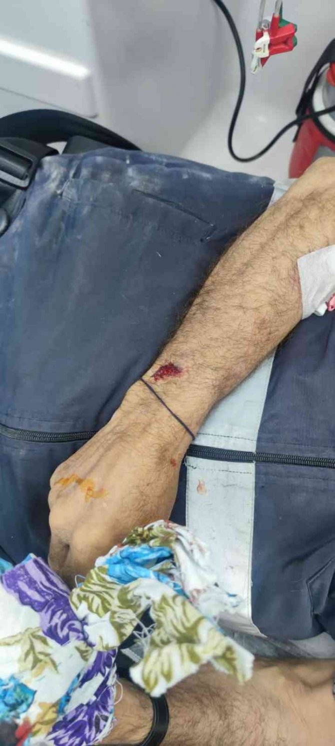 Diyarbakır’da Sokak Köpekleri Yaşlı Adama Saldırdı