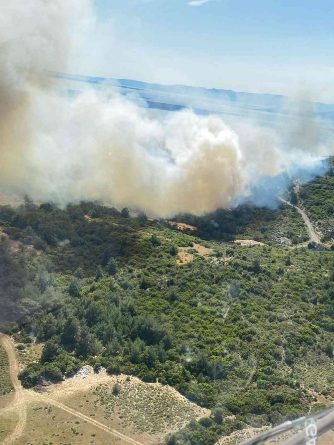 İ̇zmir’in İki İlçesindeki Orman Yangını Da Kontrol Altına Alındı