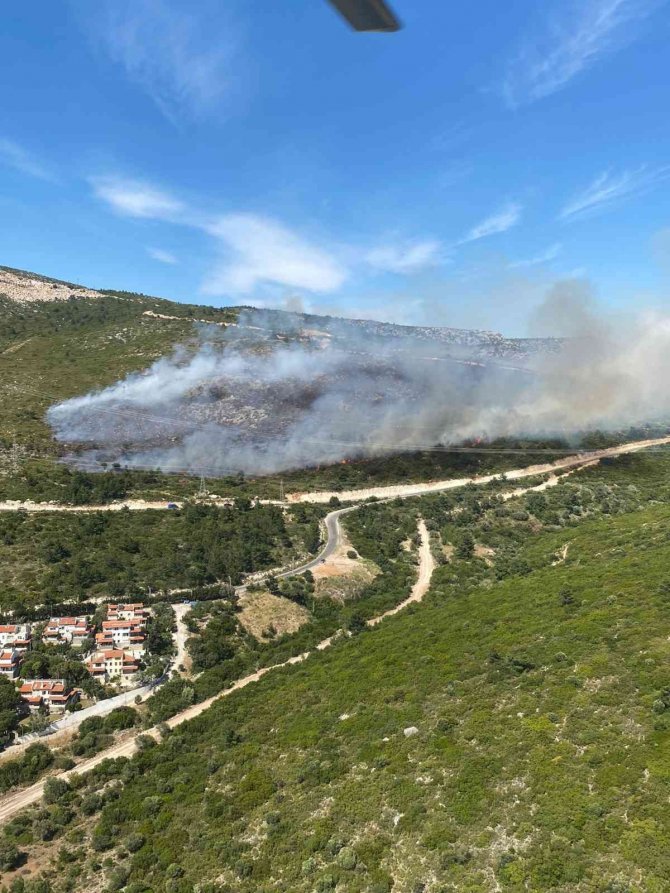 İ̇zmir’in İki İlçesindeki Orman Yangını Da Kontrol Altına Alındı