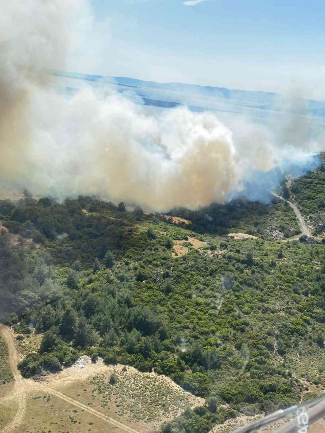 İ̇zmir’in İki İlçesindeki Orman Yangınlarında 12 Hektarlık Alan Zarar Gördü
