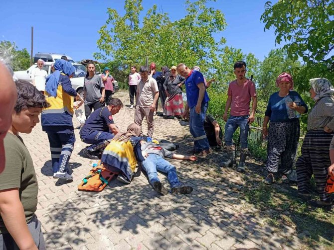 Frenleri Boşalan Kamyonet Devrildi: 6 Yaralı