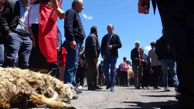 Ardahan-et Entegre Tesisinin Açılışı Yapıldı