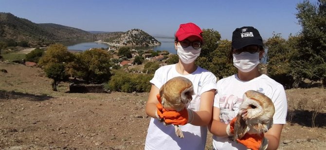 Ekodosd, Biyolojik Çeşitliliğe Dikkat Çekti