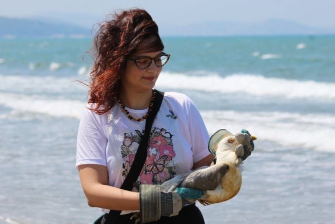 Ekodosd, Biyolojik Çeşitliliğe Dikkat Çekti