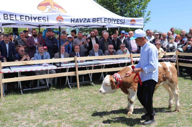 Havza’da Yayla Şenliği