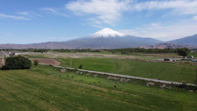 Iğdır Ovasından, Ağrı Dağı Göz Kamaştırıyor