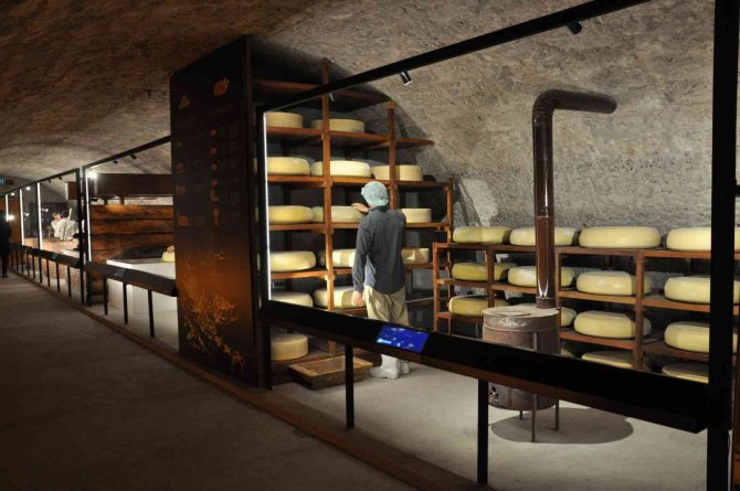 Türkiye’nin İlk Peynir Müzesi Kars’ta