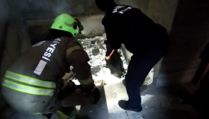Kartal’da Asansör Boşluğuna Düşen Köpeği, Kurtarma Operasyonu