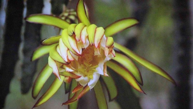 İ̇klim Değişikliği, Tarımsal Faaliyetleri De Etkiledi