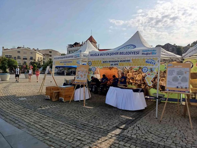 Büyükşehir’den, Dünya Arı Günü Etkinliği