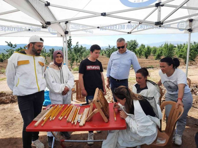 Büyükşehir’den, Dünya Arı Günü Etkinliği