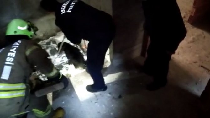 Kartal’da Asansör Boşluğuna Düşen Köpeği, Kurtarma Operasyonu